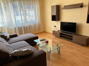 Nice, Spacious and Cozy Apartment